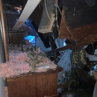 Jones - Tree-Problem-6