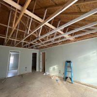 Jones - Tree-Soultion-9