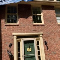 Jones - Tree_Jones _ Tree_IMG_7873