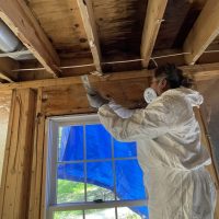 Jones_ Tree_20220919_181559884_iOS_1