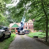 Jones_ Tree_IMG_2467