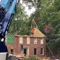 Jones_ Tree_IMG_2474