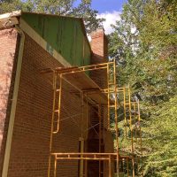 Jones_ Tree_IMG_2859