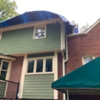 Jones_ Tree_IMG_9653