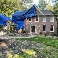 Jones_Tree_20220919_150007143_iOS