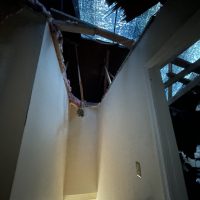 Jones_Tree_20220919_150719182_iOS_1