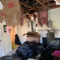 Rubenstien_Chimney Fire_IMG_8185